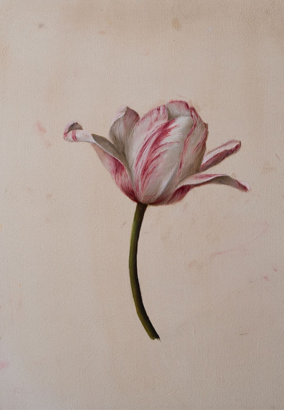 Flowers 1