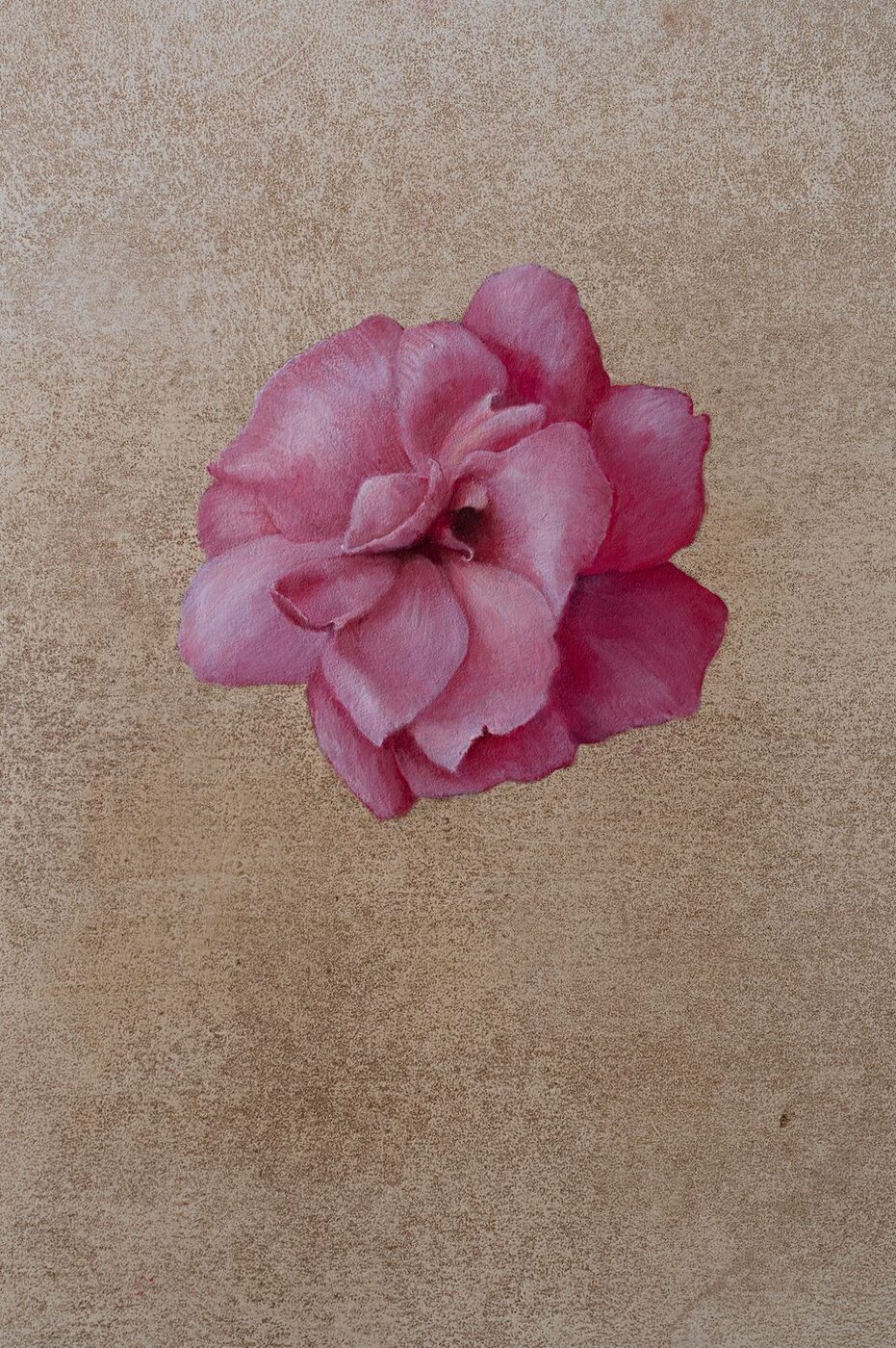 Flowers 2