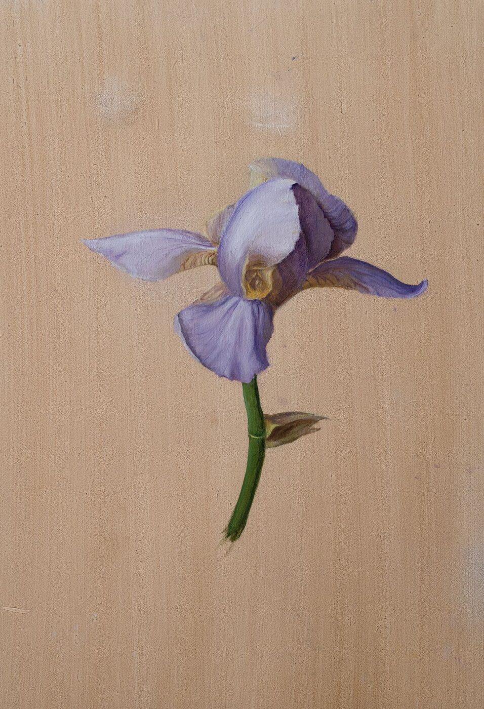 Flowers 3