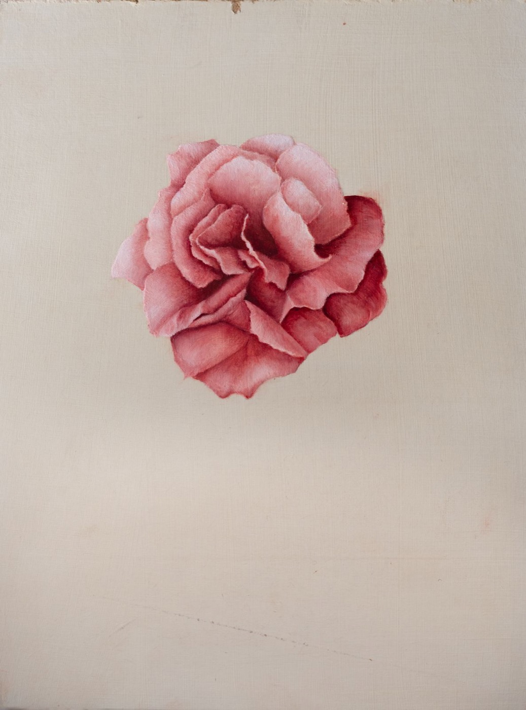 Flowers 5